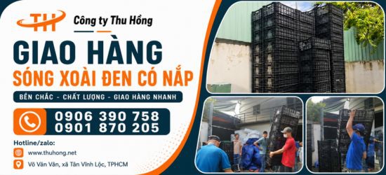 Hoạt động lên hàng sóng xoài đen có nắp đậy giao nhanh cho sỉ miền Tây giá rẻ