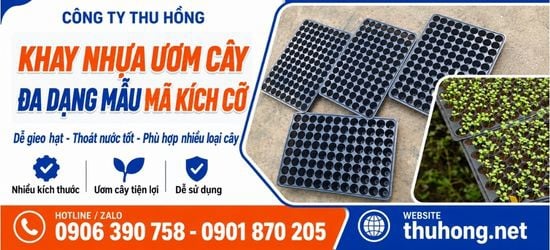 Khay nhựa ươm cây đa dạng mẫu mã kích cỡ giá tốt giao nhanh tại HCM
