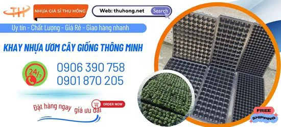 Cung cấp khay nhựa ươm cây lỗ vuông tròn đủ cỡ giá rẻ cho nhà vườn