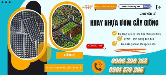 Cách chọn dụng cụ ươm cây giống theo quy mô phù hợp