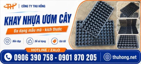 Khay Nhựa Ươm Cây Đa Dạng Mẫu Mã Quy Cách Giá Sỉ Cho Nhà Vườn