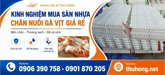 Kinh Nghiệm Mua Sàn Nhựa Chăn Nuôi Gà Vịt Chất Lượng Giá Rẻ