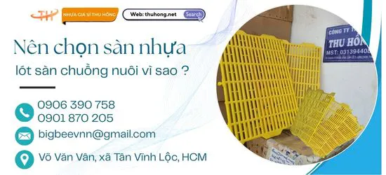 So sánh sàn nhựa và sàn gỗ trong chăn nuôi