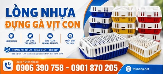 Lồng nhựa đựng gà vịt con mua sỉ rẻ ở đâu uy tín tại TPHCM