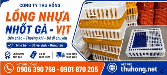 Lồng Nhựa Bắt Nhốt Gà Vịt Tiện Lợi Di Chuyển Giá Sỉ Tận Xưởng TPHCM