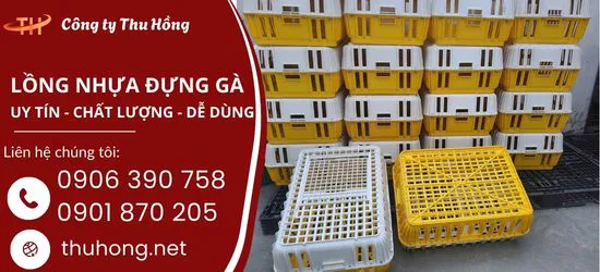 Mua lồng nhựa đựng gà ở đâu uy tín, nguồn hàng ổn định