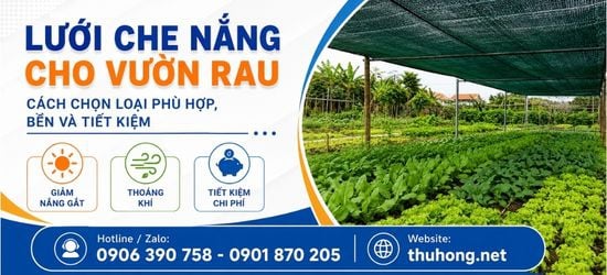 Lưới che nắng cho vườn rau – Cách chọn loại phù hợp, bền và tiết kiệm