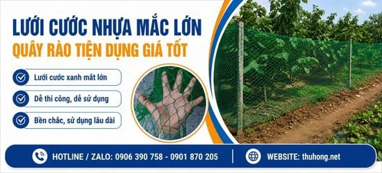 Nơi bán lưới cước xanh mắt lớn giá sỉ, hàng sẵn kho cho nhà vườn