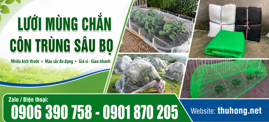 Lưới mùng che chắn côn trùng sâu bọ tốt vì sao