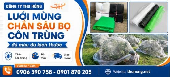 Lưới Mùng Nông Nghiệp Đủ Màu Đủ Kích Thước Giá Sỉ Ở Đâu Tốt