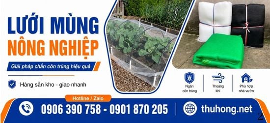 Lưới mùng nông nghiệp giá sỉ – Giải pháp chắn côn trùng, bảo vệ cây trồng hiệu quả