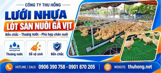 Lưới nhựa làm sàn nuôi gà giá sỉ, dễ vệ sinh chuồng trại