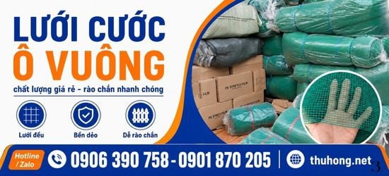Lưới Cọ Xanh - Lưới Cước Ô Vuông Mua Sỉ Ở Đâu Chất Lượng Cao Giá Tốt?
