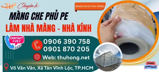 Màng nhà kính màu trắng đục và trong suốt - loại nào hiệu quả hơn