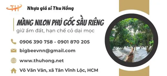 Màng nilon phủ gốc cây sầu riêng hạn chế cỏ dại giữ ẩm đất