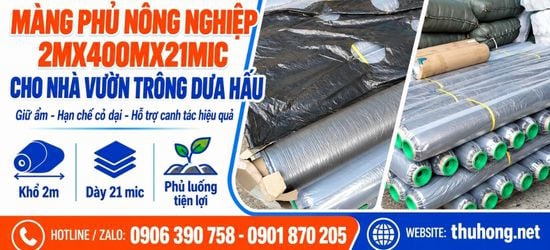 Nơi Bán Sỉ Màng Phủ Nông Nghiệp 2m x 400m x 21mic Giá Rẻ Tốt Nhất?