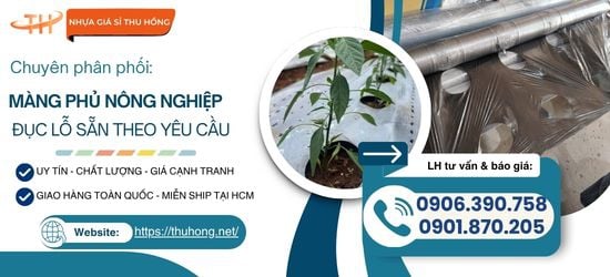 Mua Màng Phủ Nông Nghiệp Đục Lỗ Sẵn Chất Lượng Giá Tốt Ở Đâu?