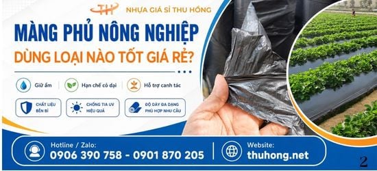 Màng Phủ Nông Nghiệp Loại Nào Tốt Cho Rau Màu Và Cây Ăn Trái?