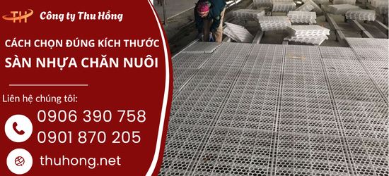 Những Điểm Cần Lưu Ý Khi Chọn Sàn Nhựa Chăn Nuôi Hiệu Quả