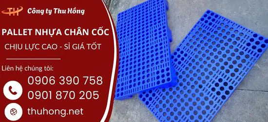 Pallet nhựa chân cốc chịu lực cao dùng trong kho xưởng