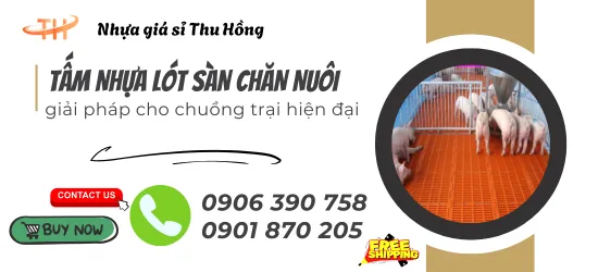 Chuồng ẩm thấp ảnh hưởng thế nào đến vật nuôi? Giải pháp nền chuồng khô thoáng hiệu quả