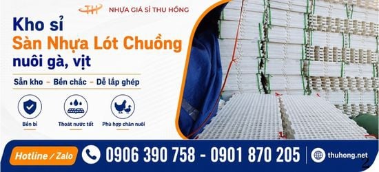 Cần Mua Sàn Nhựa Lót Sàn Nuôi Gà Vịt Số Lượng Sỉ Giá Tốt Ở Đâu TPHCM?