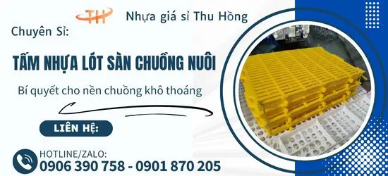 Vì sao nền chuồng quyết định hiệu quả chăn nuôi