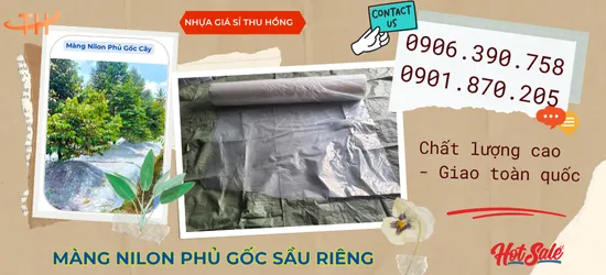 Cần mua màng nilon trắng đục phủ gốc sầu riêng