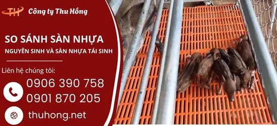 So sánh sàn nhựa chăn nuôi nhựa nguyên sinh và nhựa tái sinh