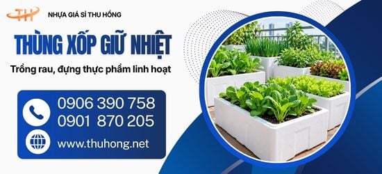 Thùng xốp trồng rau giá sỉ – Giải pháp tận dụng không gian trồng rau sạch