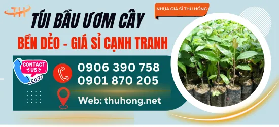 Cách chọn túi bầu ươm cây phù hợp cho cây giống nhanh bén rễ