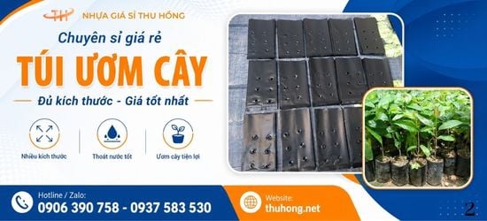 Mua Sỉ Túi Ươm Cây Đủ Kích Thước Tại TPHCM Giá Rẻ