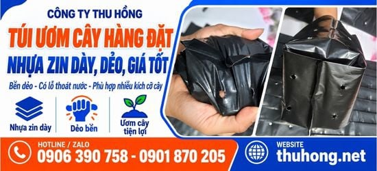 Túi ươm cây hàng zin bao dày giá sỉ, nhận đặt theo yêu cầu