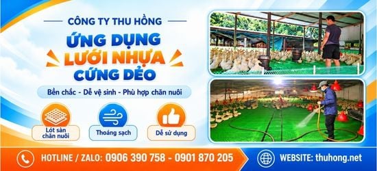 Lưới nhựa cứng dẻo có những ứng dụng phổ biến nào?