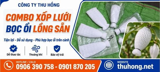 Combo xốp lưới lồng sẵn bọc ổi giá rẻ – Phù hợp nhà vườn, trang trại