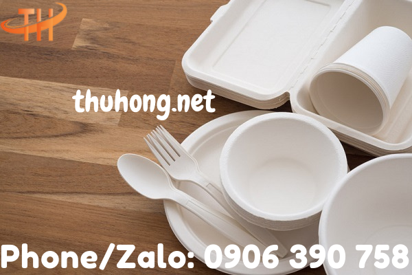 tìm hiểu về lợi ích cuả ly bã mía, chén bã mía, hộp bã mía, khay bã mía