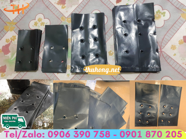 Túi ươm cây trồng đa dạng kích cỡ Túi ươm cây trồng đa dạng kích cỡ
