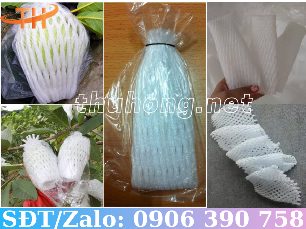 Kỹ thuật bọc ổi bằng lưới xốp