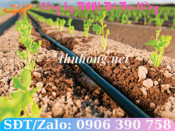 Ống tưới nhỏ giọt 8mm