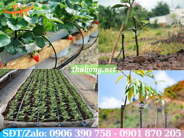 Tưới nhỏ giọt tự động cho cây trồng