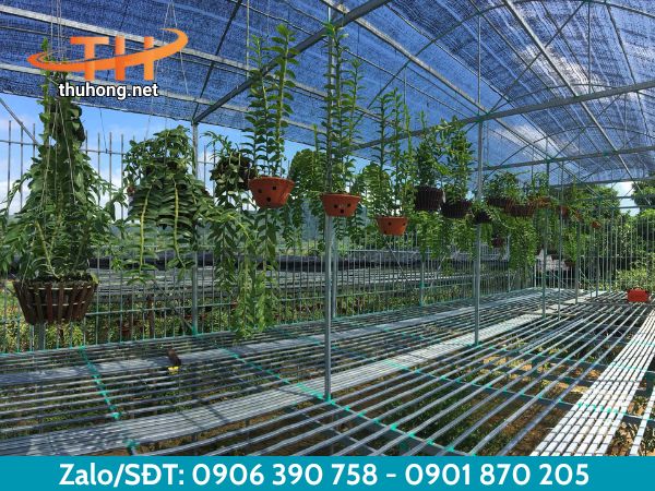 Ứng dụng của lưới che nắng Thái Lan Ứng dụng của lưới che nắng Thái Lan