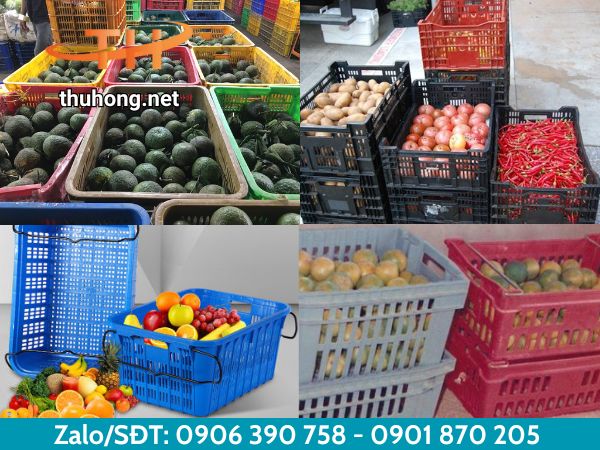 Ứng dụng của sọt nhựa đựng nông sản Ứng dụng của sọt nhựa đựng nông sản