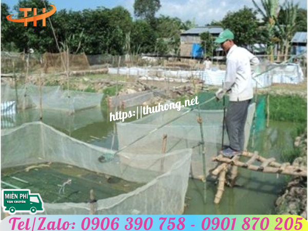 Ứng dụng lưới nhựa trắng mắt cước lỗ to Ứng dụng lưới nhựa trắng mắt cước lỗ to