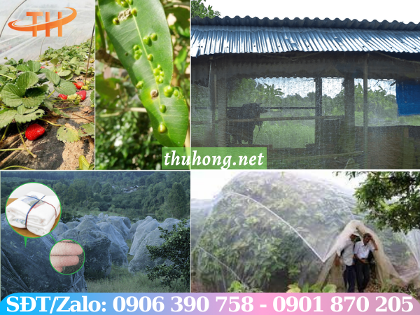 Ứng dụng Lưới mùng