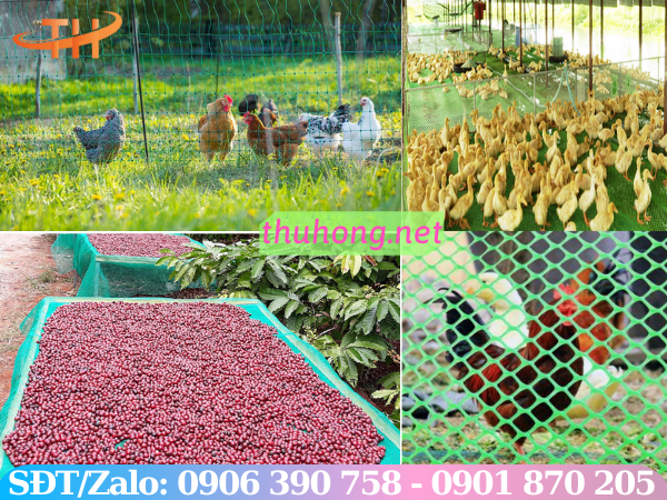 Lưới nhựa ứng dụng rộng rãi trong đời sống