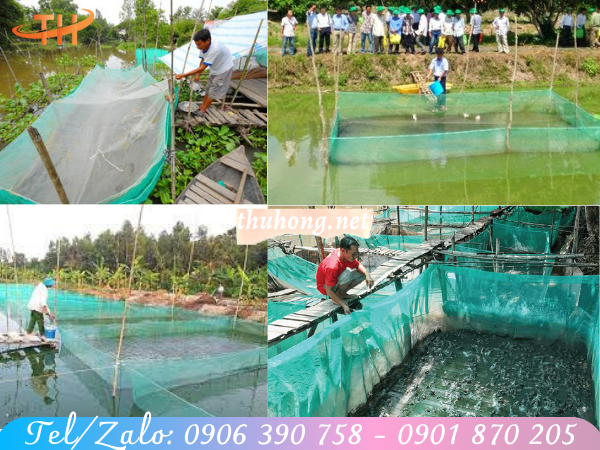 lưới nuôi trồng thủy sản