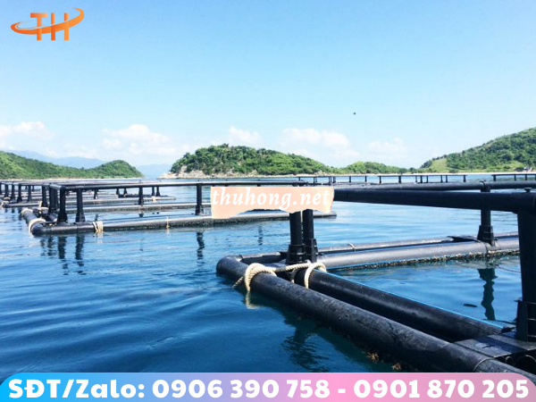 ống nhựa HDPE làm bè nuôi cá