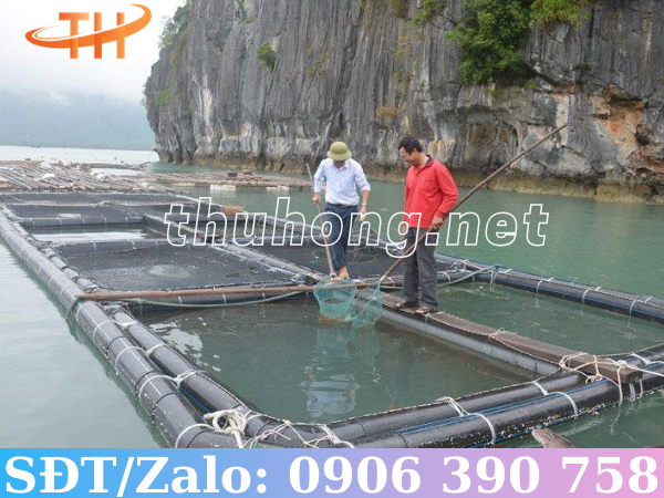 Ống nhựa trơn HDPE làm bè cá