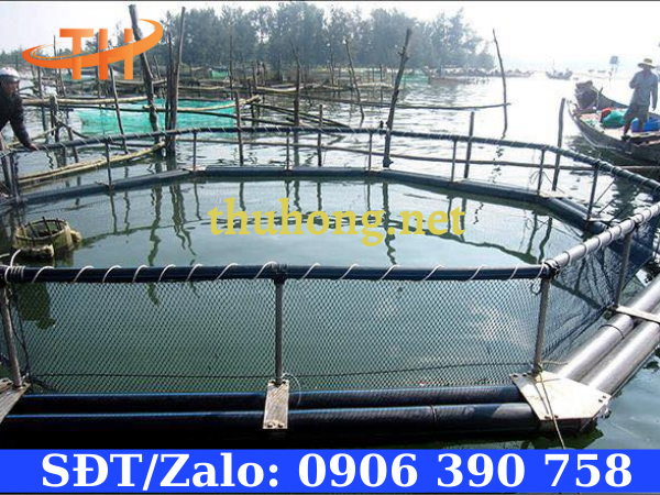 Ống HDPE dẫn nước nuôi hải sản