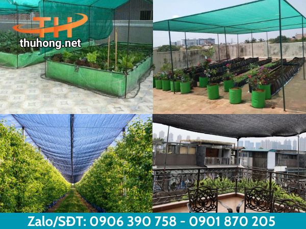 Ứng dụng phổ biến của lưới che nắng Ứng dụng phổ biến của lưới che nắng